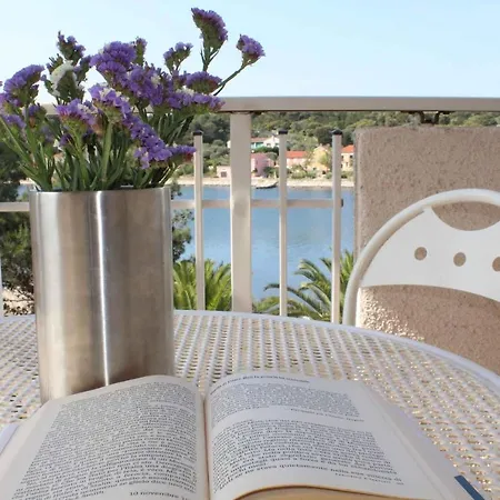 In Veli Rat/insel Dugi Otok 7751 Appartamento *