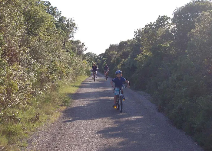 In - Insel Dugi Otok 7751 Διαμέρισμα Veli Rat