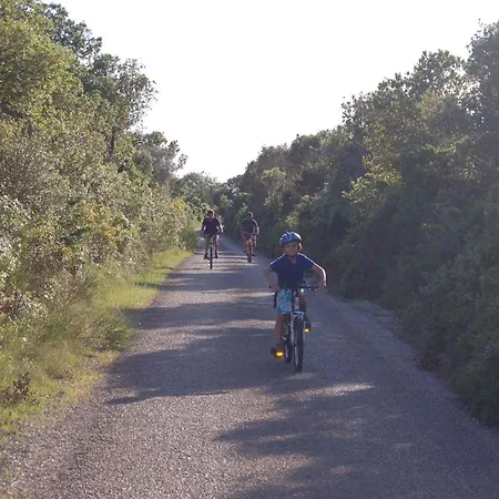 In - Insel Dugi Otok 7751 Апартаменты Вели-Рат